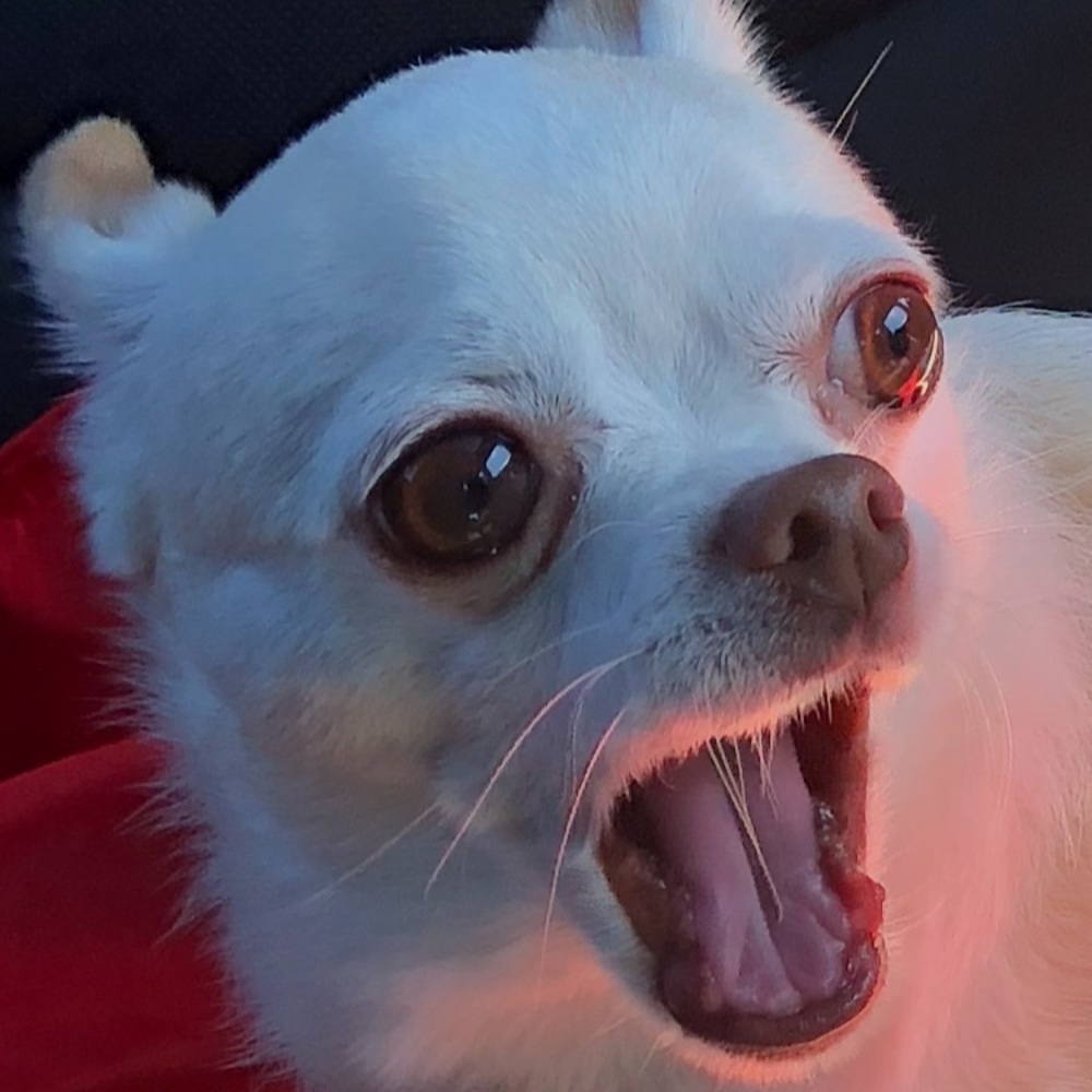 Meet your Posher, Olivia